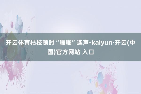 开云体育枯枝顿时“啪啪”连声-kaiyun·开云(中国)官方网站 入口