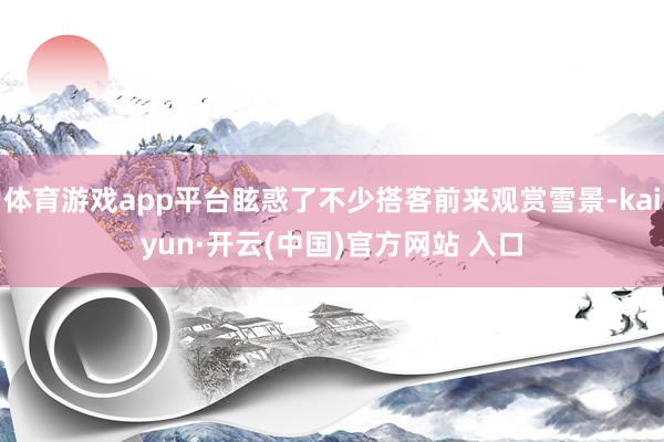 体育游戏app平台眩惑了不少搭客前来观赏雪景-kaiyun·开云(中国)官方网站 入口