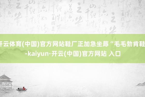 开云体育(中国)官方网站鞋厂正加急坐蓐“毛毛勃肯鞋”-kaiyun·开云(中国)官方网站 入口