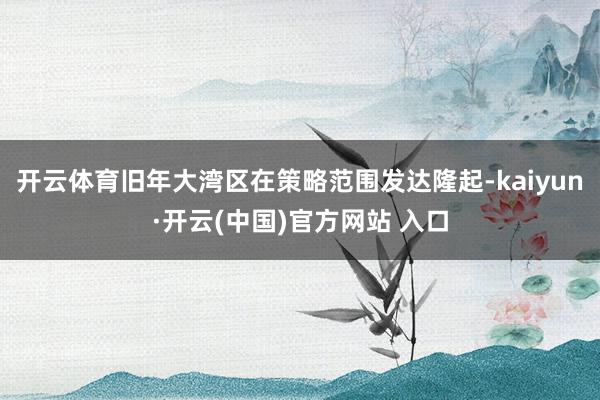 开云体育旧年大湾区在策略范围发达隆起-kaiyun·开云(中国)官方网站 入口